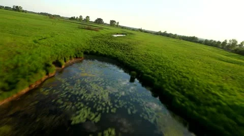 Flight Stock Footage 11421531