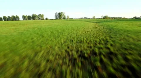Flight Stock Footage 11421613