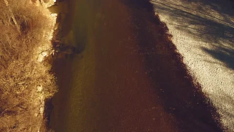 Flight in the forest 스톡 동영상 229539428