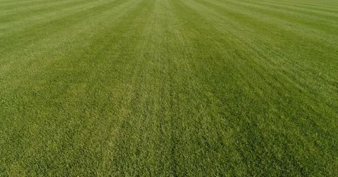 Flight forward over beautiful green grass Stock Footage 80239160