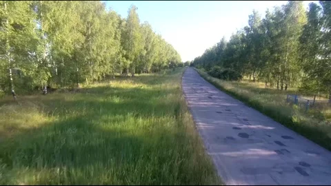 Flight on a fpv drone in a birch grove growing around Stock Footage 208654321