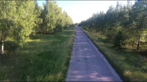 Flight on a fpv drone in a birch grove growing around Stock Footage 208654603