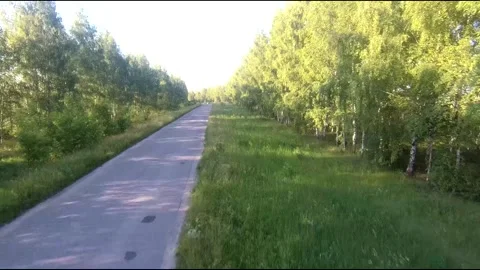 Flight on a fpv drone in a birch grove growing around Stock Footage 208654766