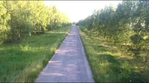 Flight on a fpv drone in a birch grove growing around Stock Footage 208654949