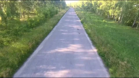 Flight on a fpv drone in a birch grove growing around Stock Footage 208654965