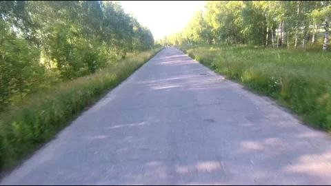 Flight on a fpv drone in a birch grove growing around Stock Footage 208655033