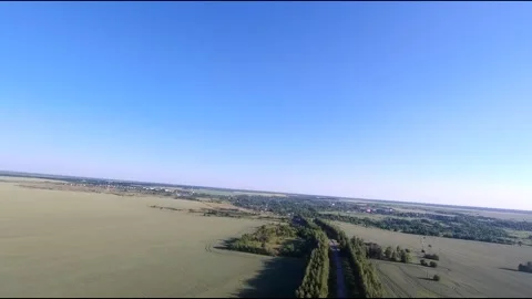 Flight on a fpv drone in a birch grove growing around Stock Footage 208655250