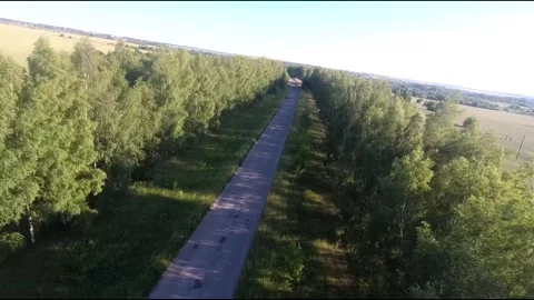 Flight on a fpv drone in a birch grove growing around Stock Footage 208655517