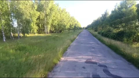 Flight on a fpv drone in a birch grove growing around Stock Footage 208655522