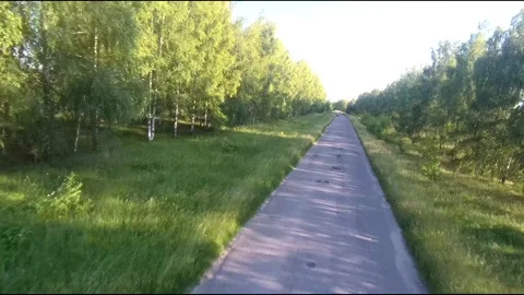 Flight on a fpv drone in a birch grove growing around Stock Footage 208655804