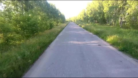 Flight on a fpv drone in a birch grove growing around Stock Footage 208655809