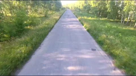 Flight on a fpv drone in a birch grove growing around Stock Footage 208655813