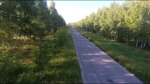 Flight on a fpv drone in a birch grove growing around Stock Footage 208656114
