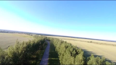 Flight on a fpv drone in a birch grove growing around Stock Footage 208656271