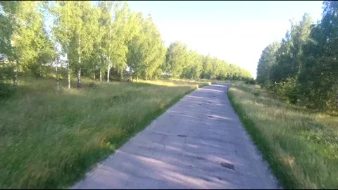 Flight on a fpv drone in a birch grove growing around Stock Footage 208656273