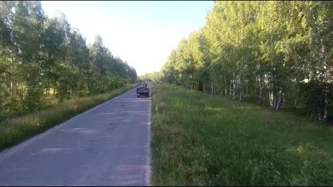 Flight on a fpv drone in a birch grove growing around Stock Footage 208656371