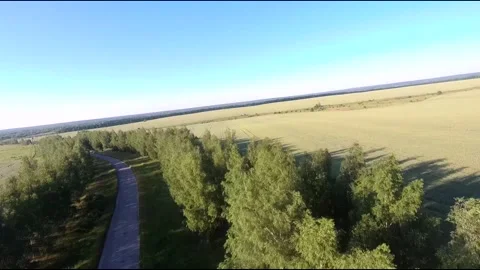 Flight on a fpv drone in a birch grove growing around Stock Footage 208656421