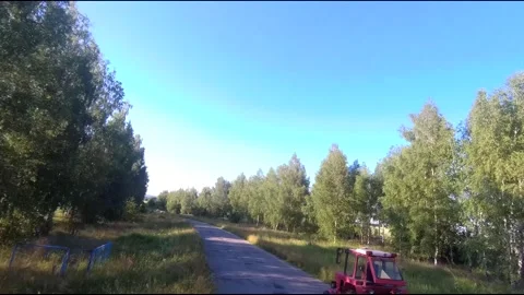 Flight on a fpv drone in a birch grove growing around Stock Footage 208656607