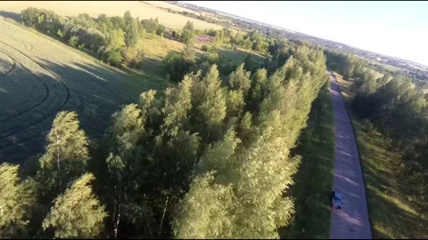 Flight on a fpv drone in a birch grove growing around Stock Footage 208656786