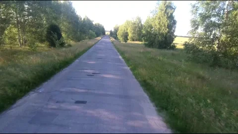 Flight on a fpv drone in a birch grove growing around Stock Footage 208657156