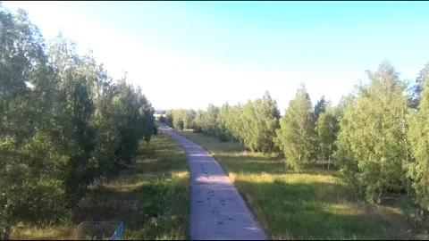 Flight on a fpv drone in a birch grove growing around Stock Footage 208657489