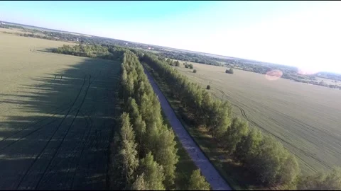 Flight on a fpv drone in a birch grove growing around Stock Footage 208657500
