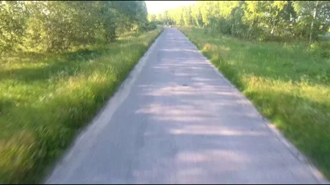 Flight on a fpv drone in a birch grove growing around Stock Footage 208657610