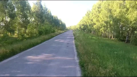Flight on a fpv drone in a birch grove growing around Stock Footage 208657822