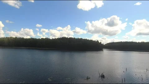 Flight on a fpv drone for a cormorant Stock Footage 208627359