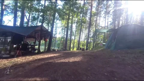 Flight on a fpv drone in the forest through a camp Stock Footage 208629880