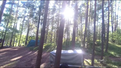 Flight on a fpv drone in the forest through a camp Stock Footage 208629909