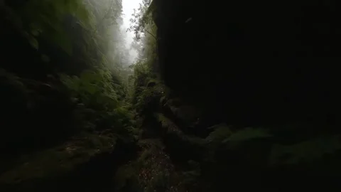 Flight on fpv drone in the gorge over people Stock Footage 168617497