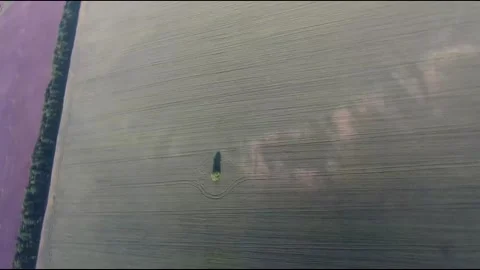 Flight on a fpv drone in a large beautiful field Stock Footage 208662309