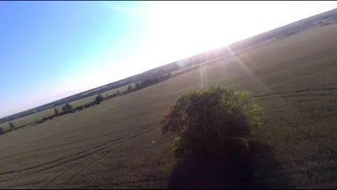 Flight on a fpv drone in a large beautiful field Stock Footage 208662329
