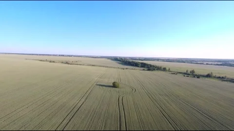 Flight on a fpv drone in a large beautiful field Stock Footage 208662351