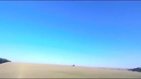 Flight on a fpv drone in a large beautiful field Stock Footage 208662522