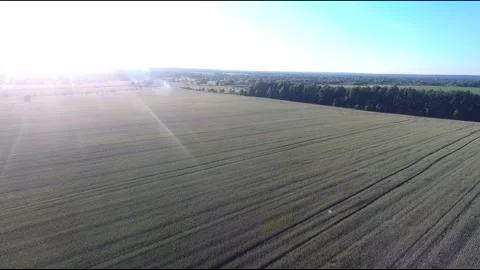 Flight on a fpv drone in a large beautiful field Stock Footage 208662616