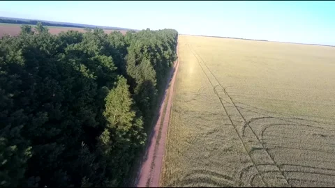 Flight on a fpv drone in a large beautiful field Stock Footage 208662677