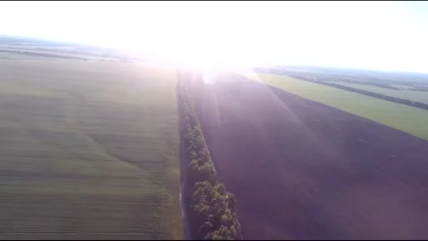 Flight on a fpv drone in a large beautiful field Stock Footage 208662893