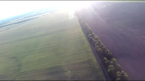 Flight on a fpv drone in a large beautiful field Stock Footage 208662997