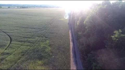 Flight on a fpv drone in a large beautiful field Stock Footage 208663099