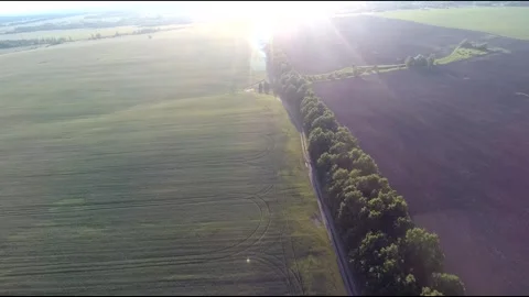 Flight on a fpv drone in a large beautiful field Stock Footage 208663100