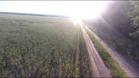 Flight on a fpv drone in a large beautiful field Stock Footage 208663393