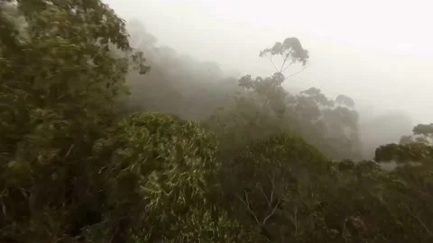 Flight on an fpv drone over the forest in the fog Stock Footage 168617500