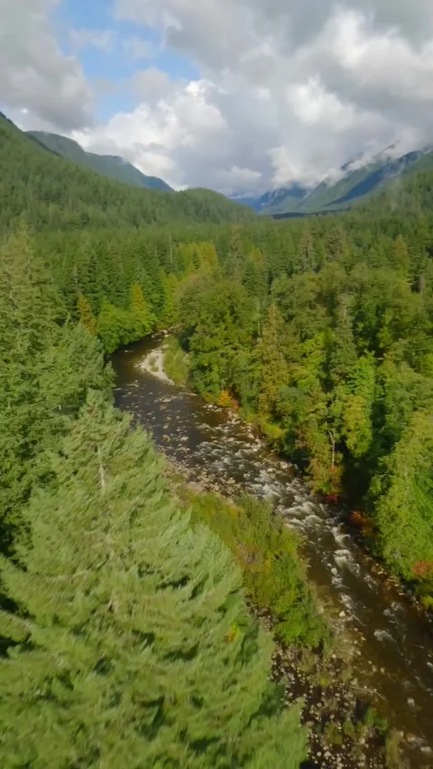 Flight by FPV drone over a mountain landscape and river. Canada. Stock Footage 314894494