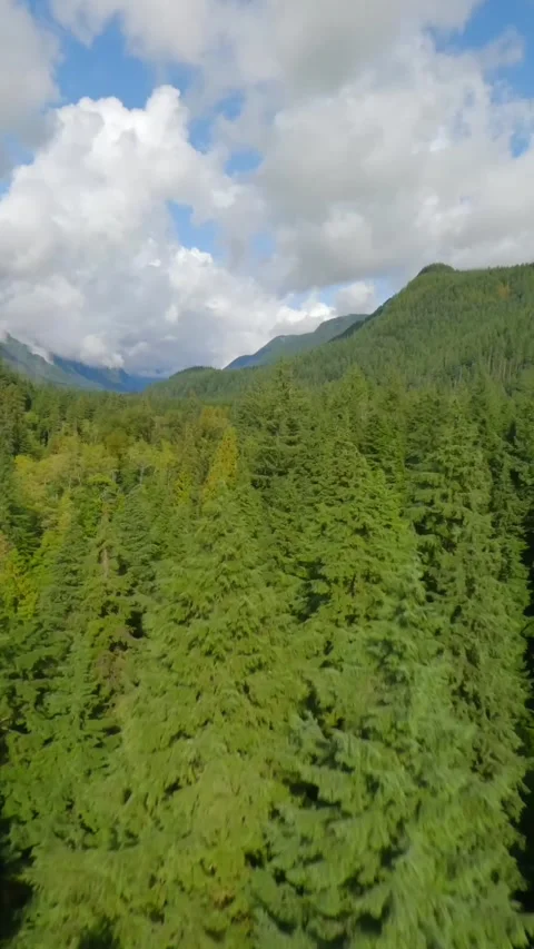 Flight by FPV drone over a mountain landscape and river. Canada. Stock Footage 320191409