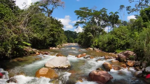 FLIGHT FPV ON THE RIVER. Stock Footage 159615224