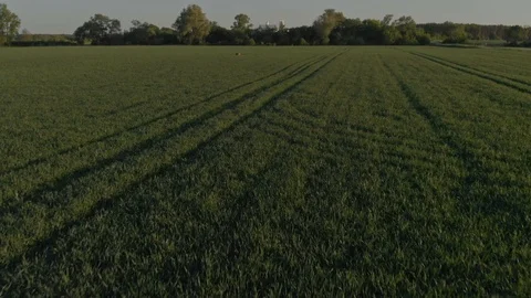 Flight from green countryside fields to silo diary Stock Footage 89901457