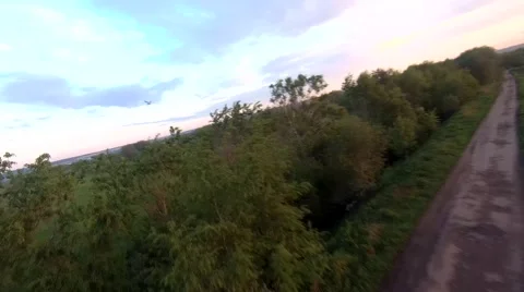 Flight in a green field on a fpv Stock Footage 196810162
