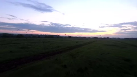 Flight in a green field on a fpv Stock Footage 196810281